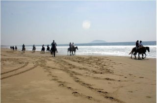 Paseo a caballo por la arena